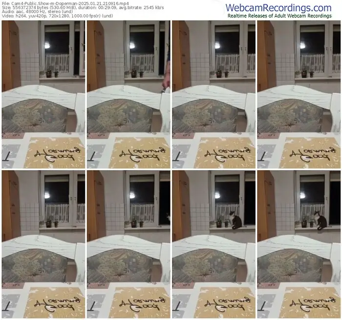 cam4-doperman-01-21-2025-21-09-16