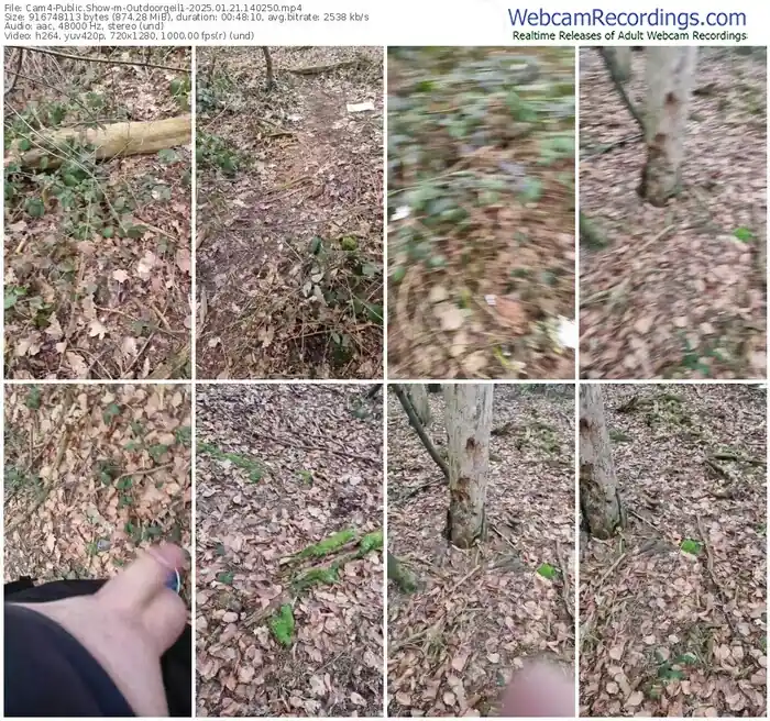 cam4-outdoorgeil1-01-21-2025-14-02-50