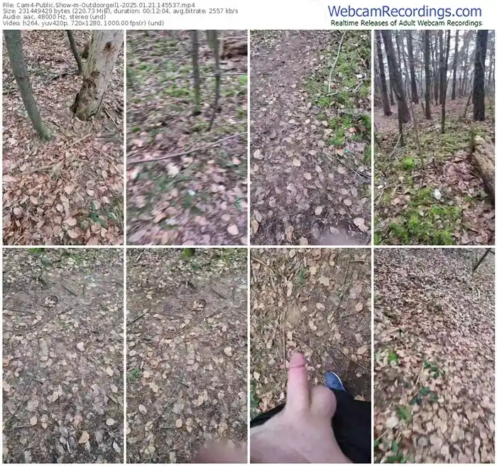 cam4-outdoorgeil1-01-21-2025-14-55-37