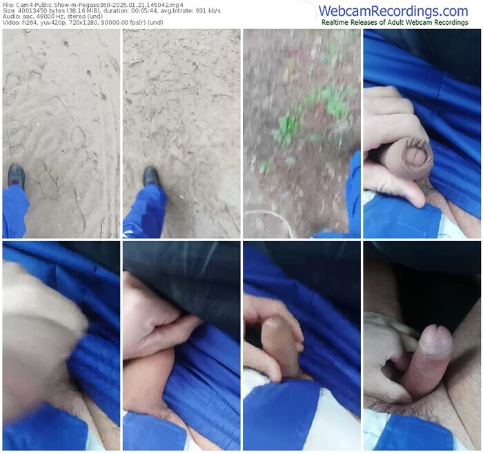 cam4-pegaso369-01-21-2025-14-50-42