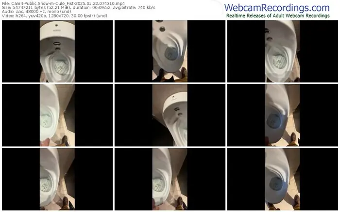 cam4-culo_fist-01-22-2025-07-43-10