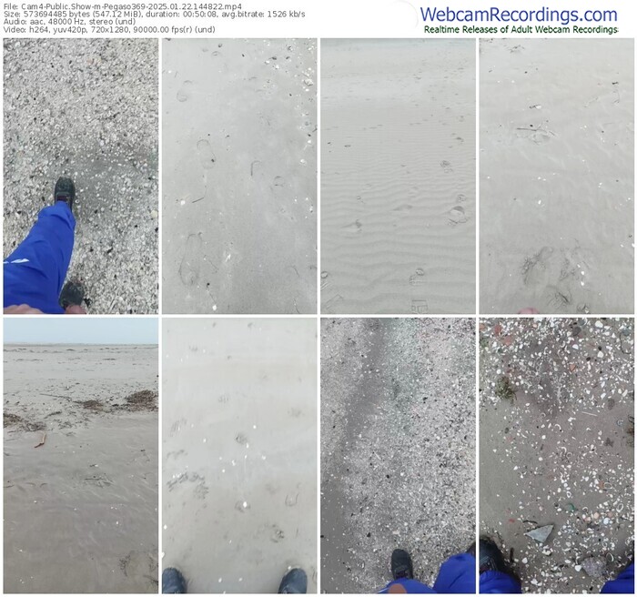cam4-pegaso369-01-22-2025-14-48-22