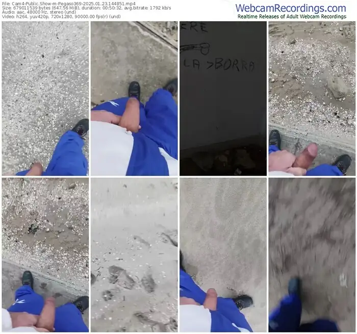 cam4-pegaso369-01-23-2025-14-48-51