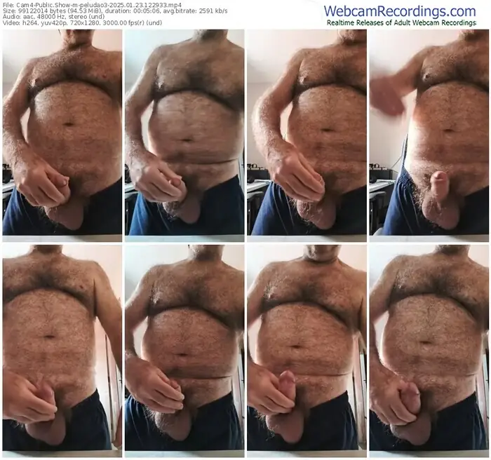 cam4-peludao3-01-23-2025-12-29-33