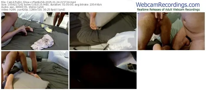 cam4-planexhib-01-24-2025-21-57-24