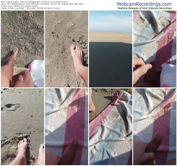 cam4-pegaso369-01-24-2025-13-09-26