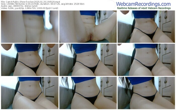 cam4-iscloe-01-25-2025-19-05-29