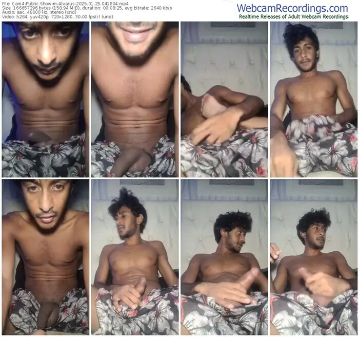 cam4-alvarus-01-25-2025-04-18-04