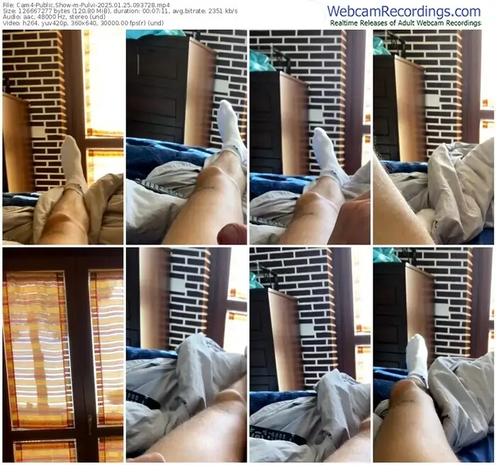 cam4-pulvi-01-25-2025-09-37-28