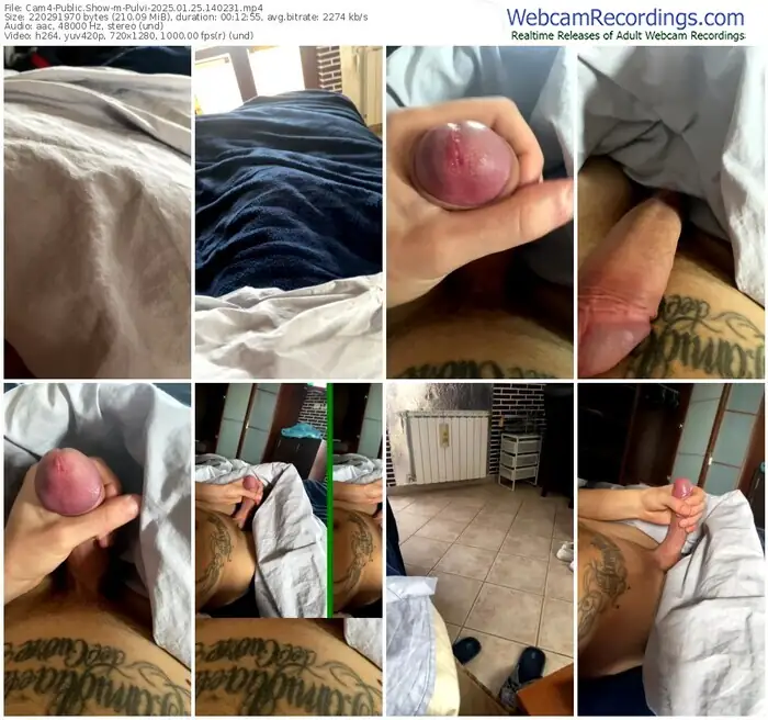 cam4-pulvi-01-25-2025-14-02-31