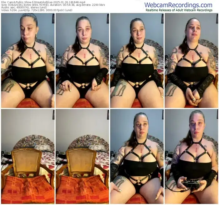 cam4-streetslutblue-01-26-2025-18-18-48