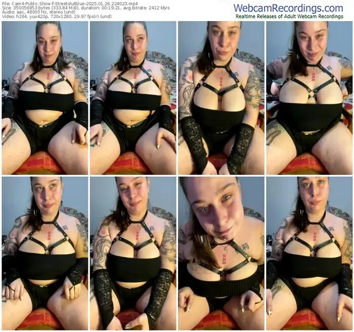 cam4-streetslutblue-01-26-2025-22-40-23