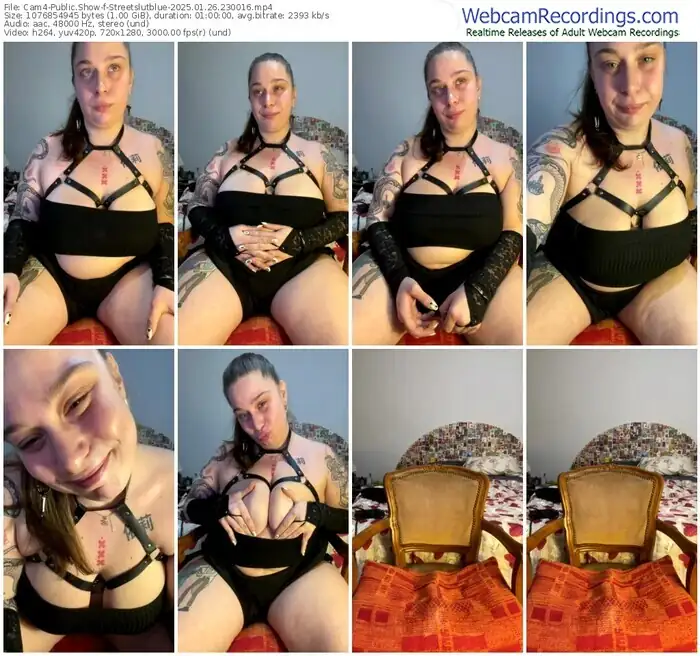 cam4-streetslutblue-01-26-2025-23-00-16