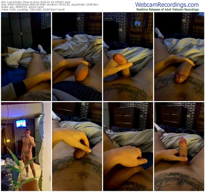 cam4-pulvi-01-26-2025-19-56-07