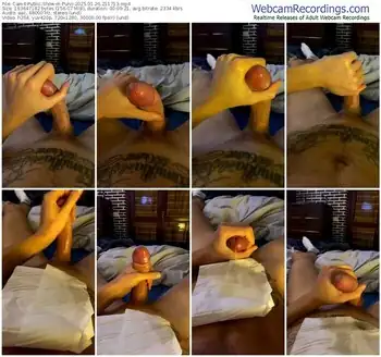 cam4-pulvi-01-26-2025-21-17-13