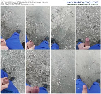 cam4-pegaso369-01-27-2025-14-06-54