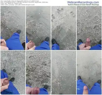 cam4-pegaso369-01-27-2025-14-06-54