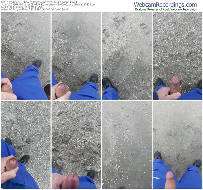 cam4-pegaso369-01-27-2025-14-06-54