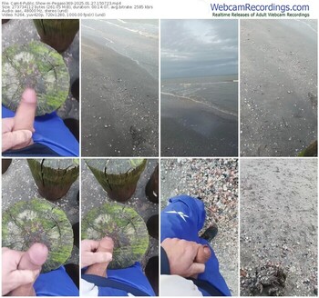 cam4-pegaso369-01-27-2025-15-07-23