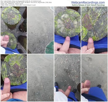 cam4-pegaso369-01-27-2025-15-24-16