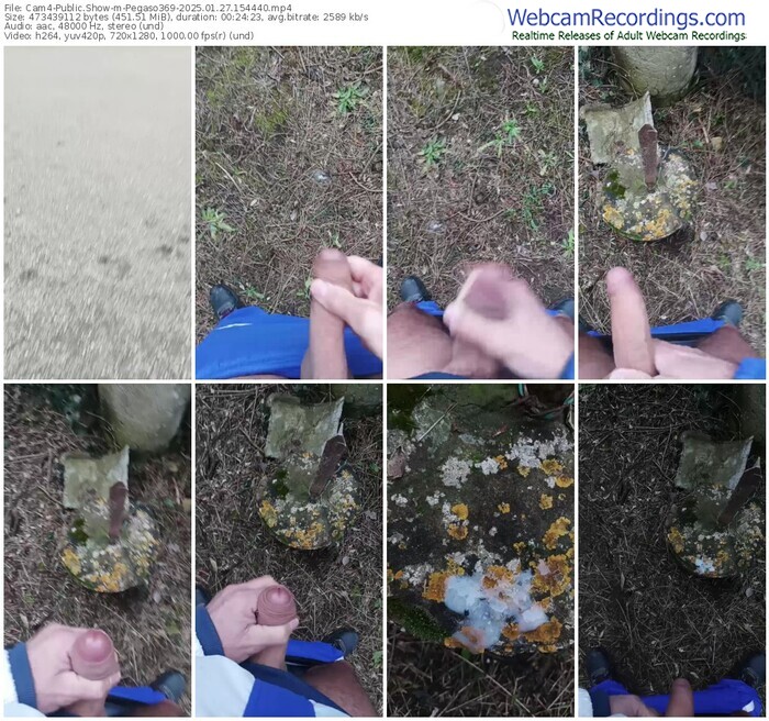 cam4-pegaso369-01-27-2025-15-44-40