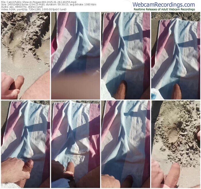 cam4-pegaso369-01-28-2025-14-02-55
