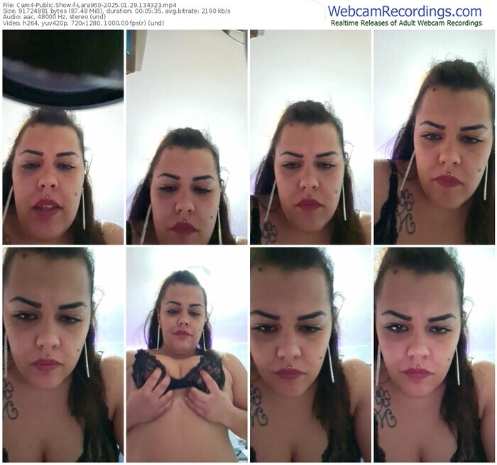 cam4-lara960-01-29-2025-13-43-23