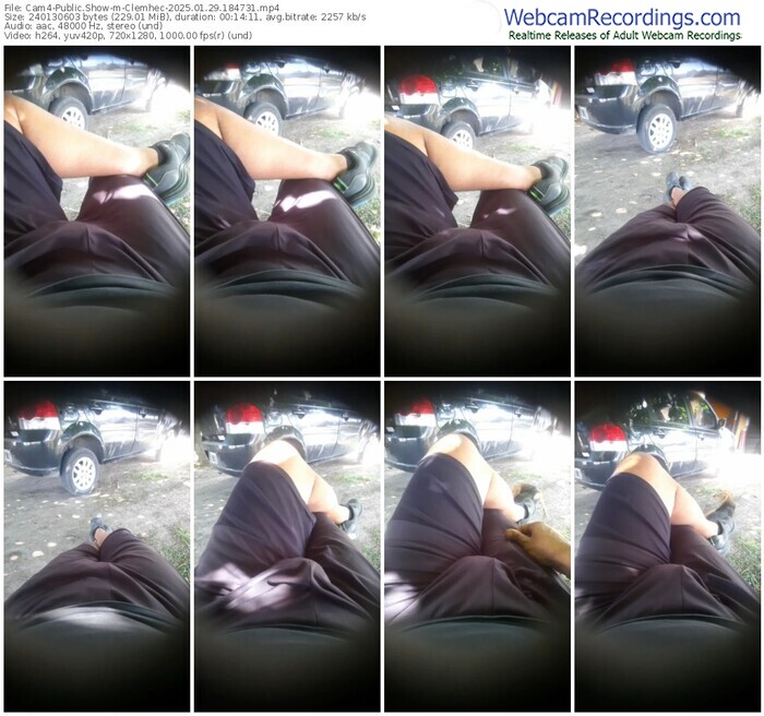 cam4-clemhec-01-29-2025-18-47-31