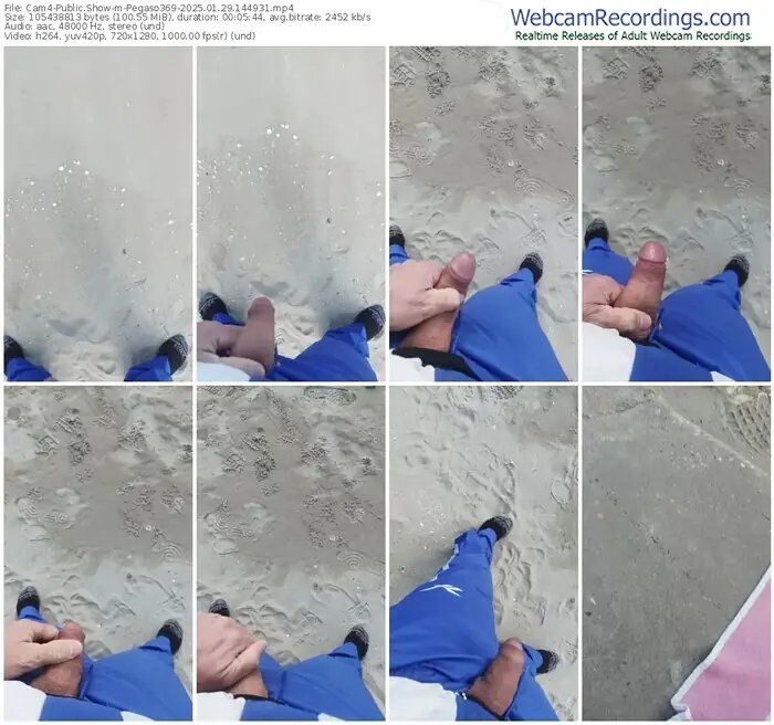 cam4-pegaso369-01-29-2025-14-49-31