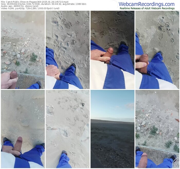 cam4-pegaso369-01-29-2025-14-57-10