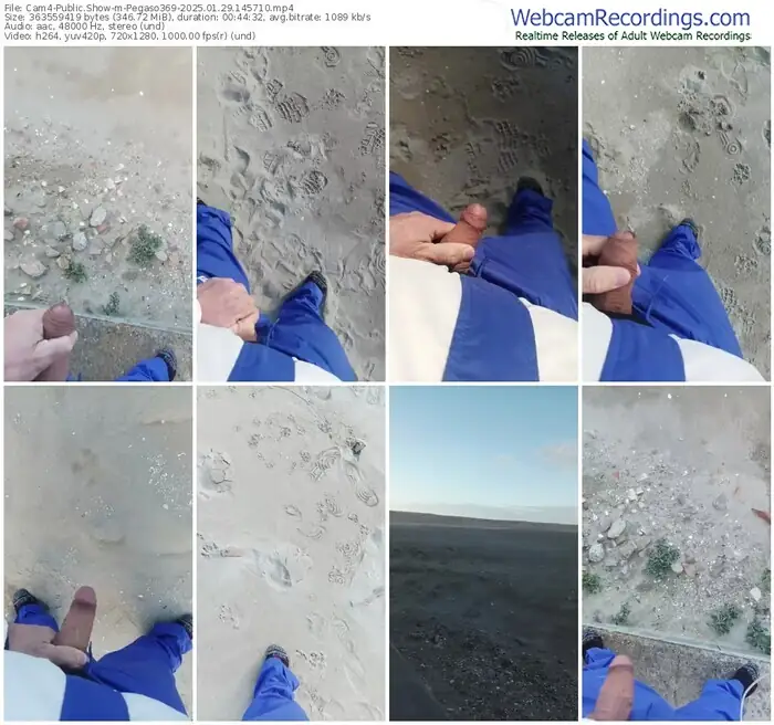 cam4-pegaso369-01-29-2025-14-57-10