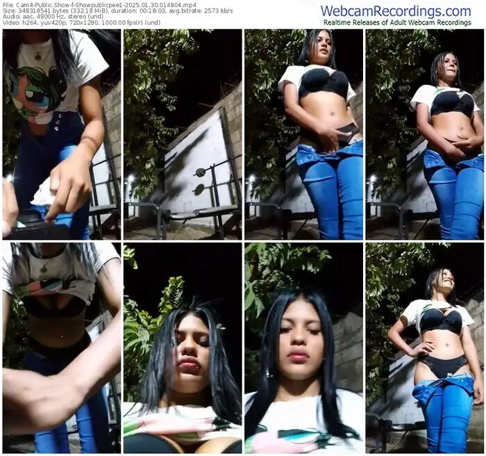 cam4-showpublicpee1-01-30-2025-01-48-04