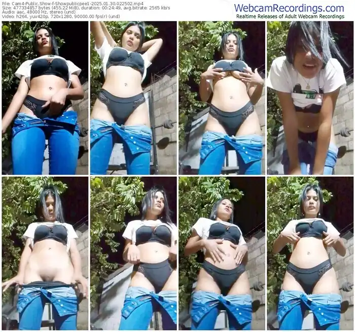 cam4-showpublicpee1-01-30-2025-02-25-02