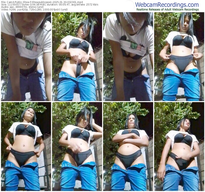 cam4-showpublicpee1-01-30-2025-03-23-01