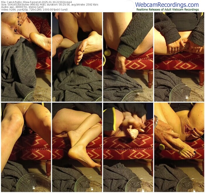 cam4-pissriot-01-30-2025-22-33-24