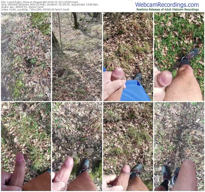 cam4-pegaso369-01-30-2025-12-33-50