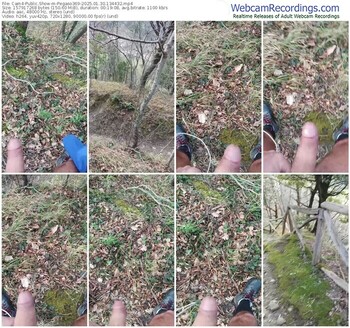 cam4-pegaso369-01-30-2025-13-44-32