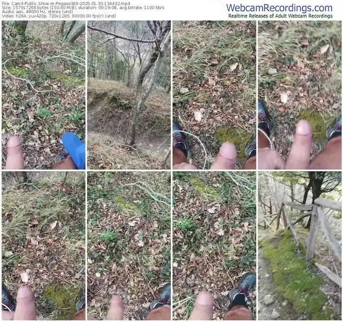 cam4-pegaso369-01-30-2025-13-44-32