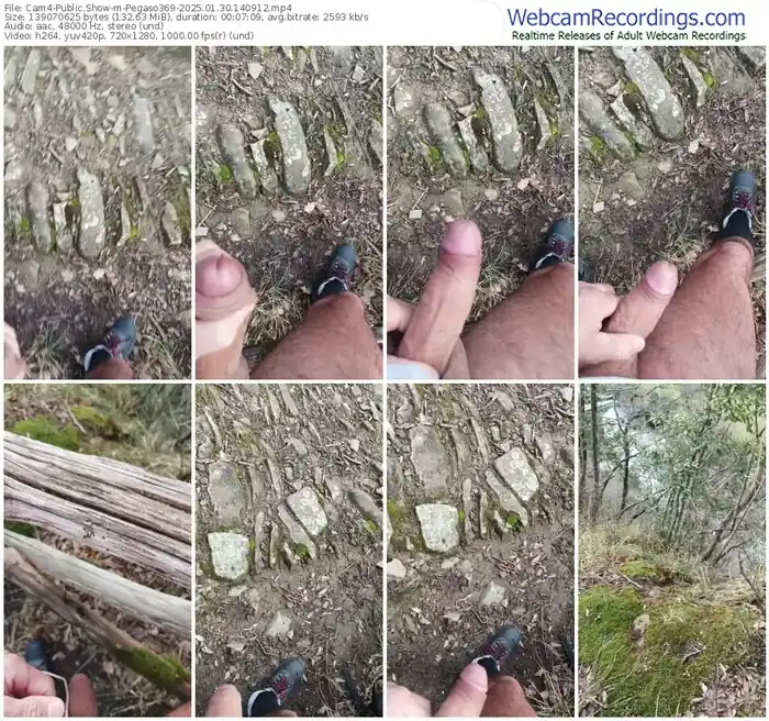 cam4-pegaso369-01-30-2025-14-09-12