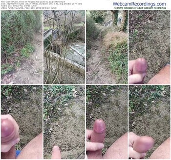 cam4-pegaso369-01-30-2025-14-34-00