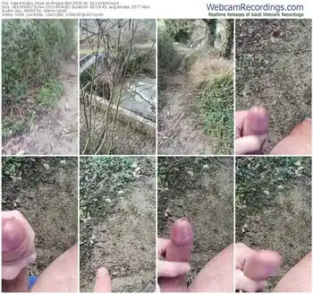 cam4-pegaso369-01-30-2025-14-34-00