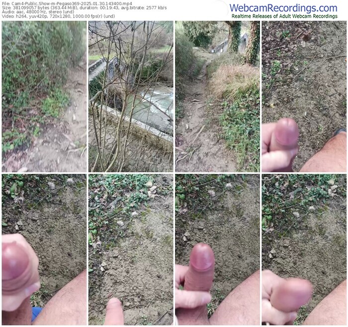 cam4-pegaso369-01-30-2025-14-34-00