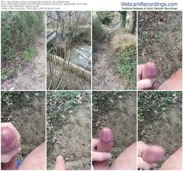 cam4-pegaso369-01-30-2025-14-34-00