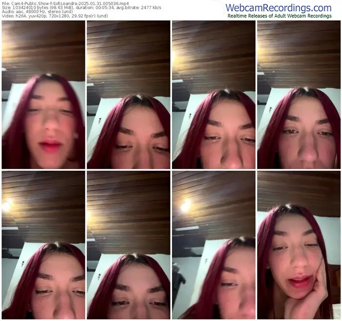 cam4-sofileandra-01-31-2025-00-50-36