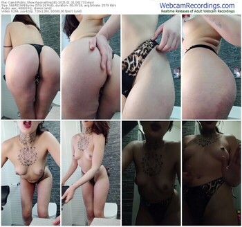 cam4-porcellina181-01-31-2025-06-17-33
