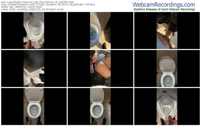 cam4-culo_fist-01-31-2025-14-18-41