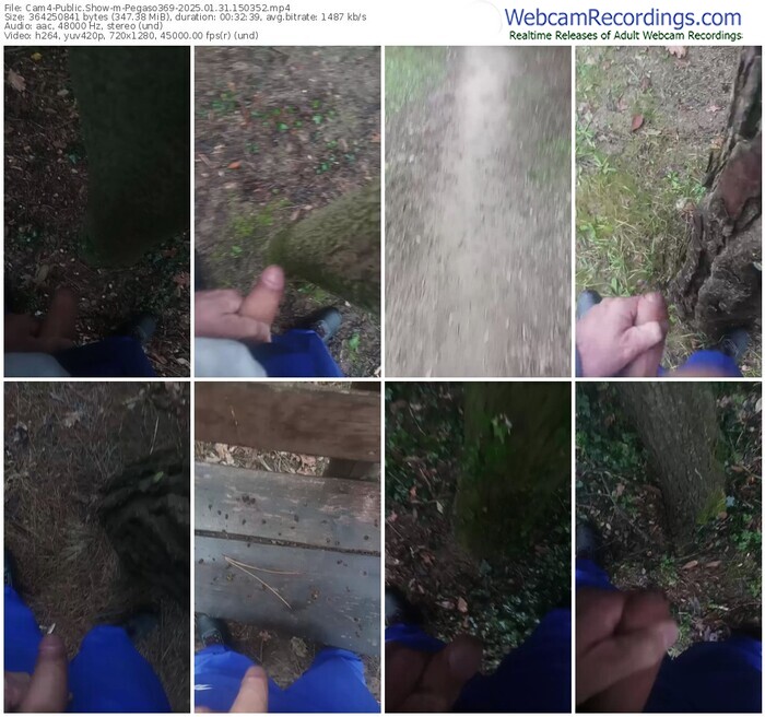 cam4-pegaso369-01-31-2025-15-03-52