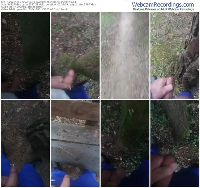 cam4-pegaso369-01-31-2025-15-03-52