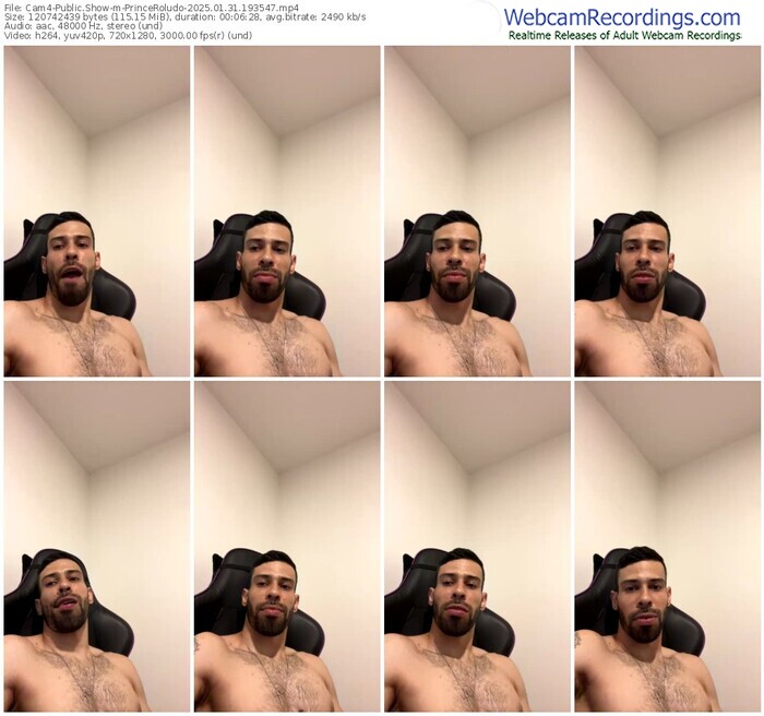 cam4-princeroludo-01-31-2025-19-35-47