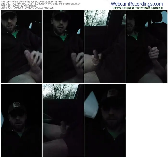 cam4-horny6209-01-31-2025-16-40-13